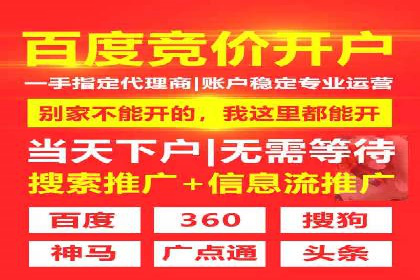 谷歌SEM实战案例：利用广告系列优化效果